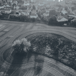 Traumatic Brain Injury Survivors in Indiana