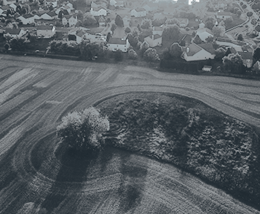 TBI survivors in Indiana