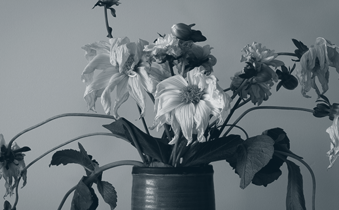 lifelong TBI management