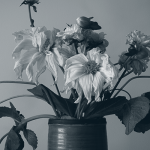 New Study Shows TBI Recovery is More Fluid than Previously Thought