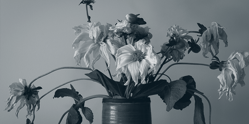 lifelong TBI management