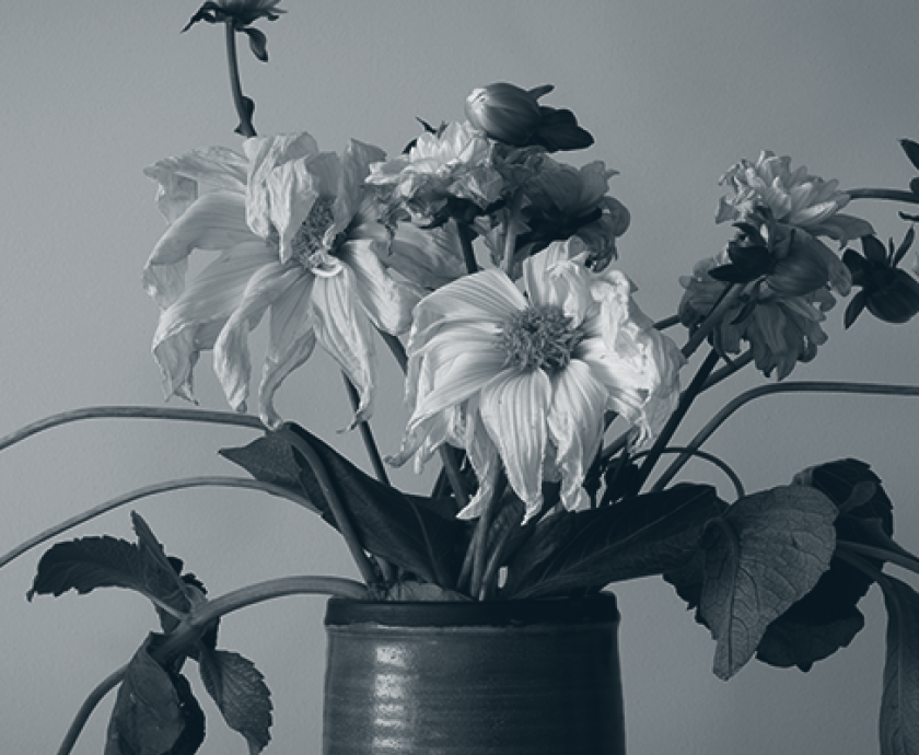 lifelong TBI management